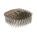 Coil Nails
